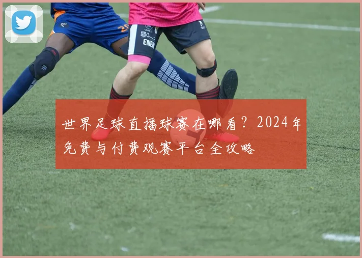 世界足球直播球赛在哪看？2024年免费与付费观赛平台全攻略